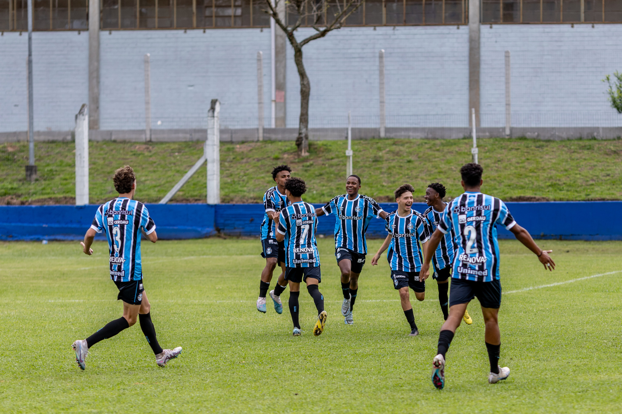 Futebol Sub-17 e Sub-16 – Palmeiras